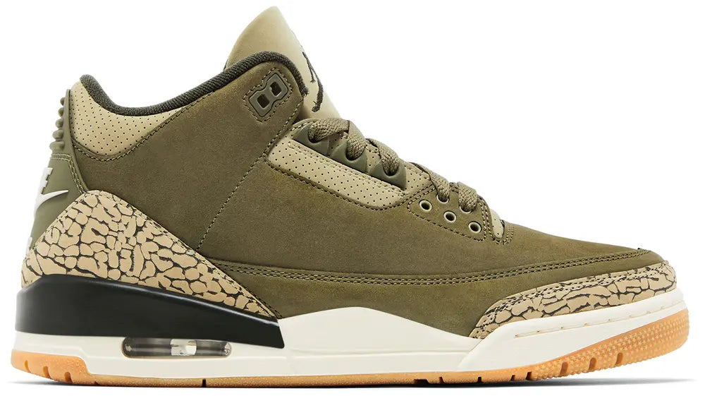Air Jordan 3 Retro GS 'Family Affair'
