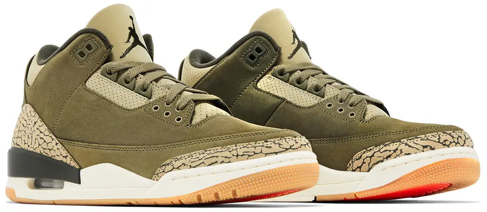 Air Jordan 3 Retro GS 'Family Affair'