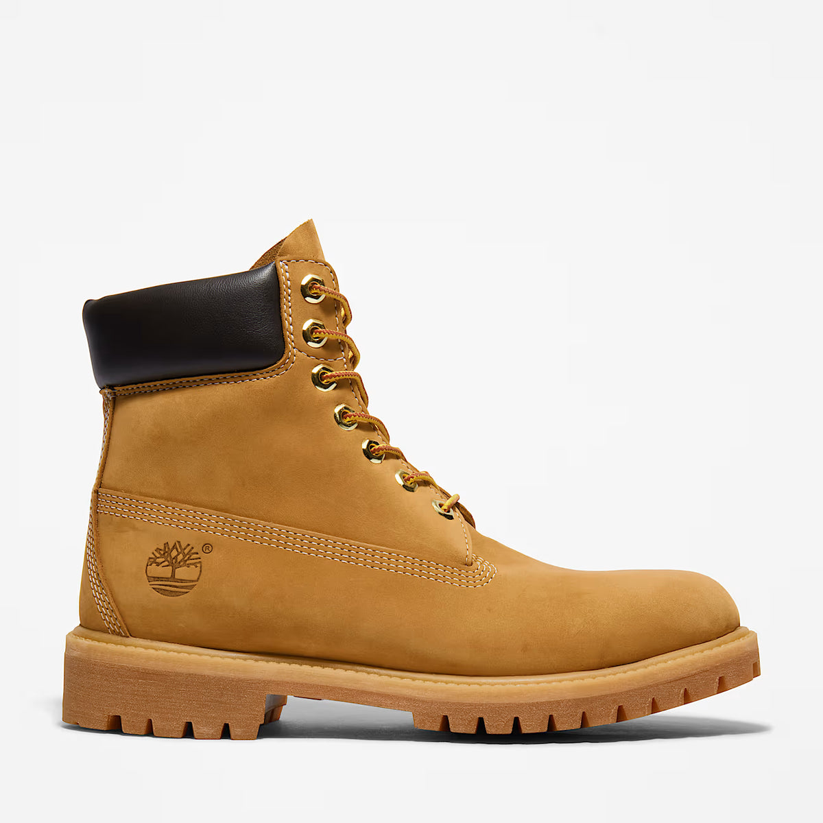 Men's Timberland® Premium 6-Inch Waterproof Boot